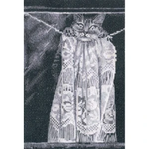 RTO Cat prank M1034
