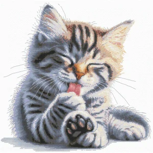 ANDRINA Soft paws M-46